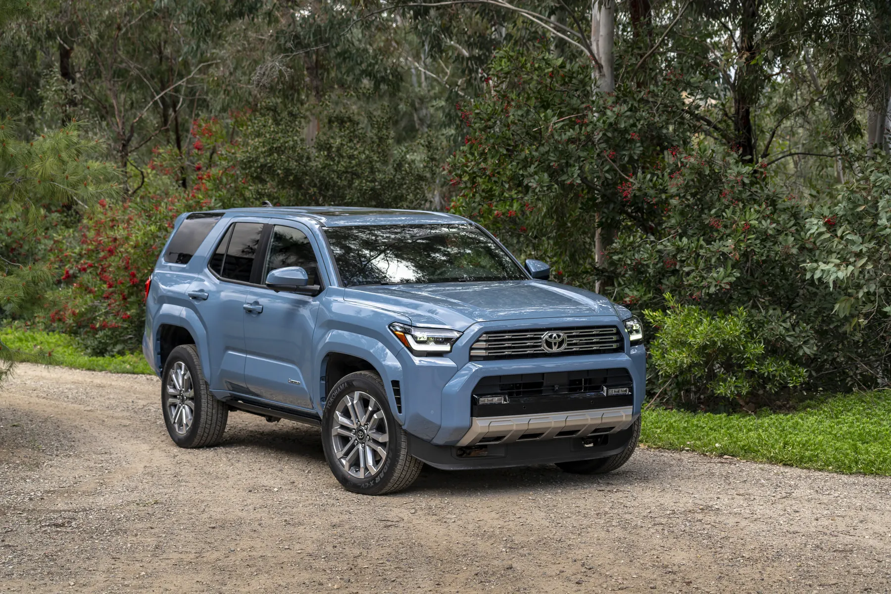 Blue 2025 Toyota 4Runner Limited, front three-quarter on a gravel path