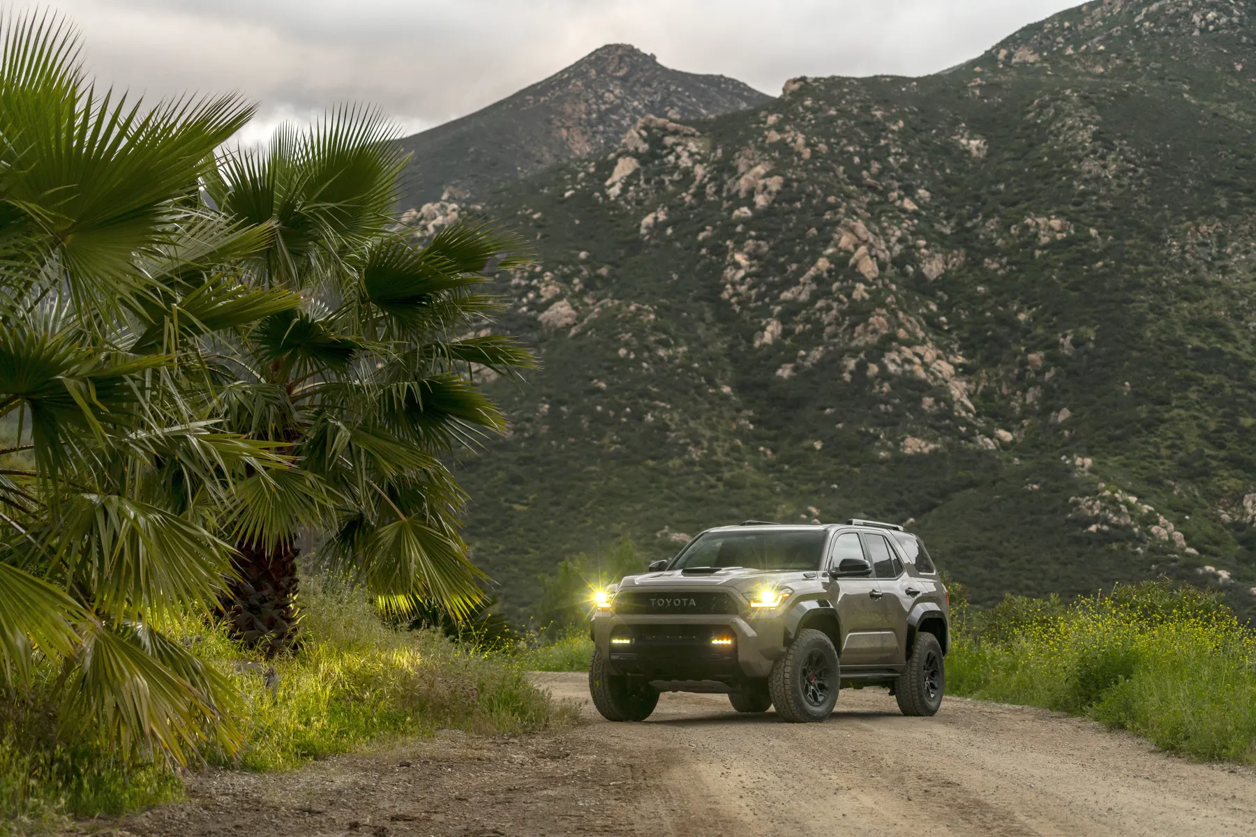 2025 Toyota 4Runner TRD Pro in Mudbath, front three-quarter with lamps on